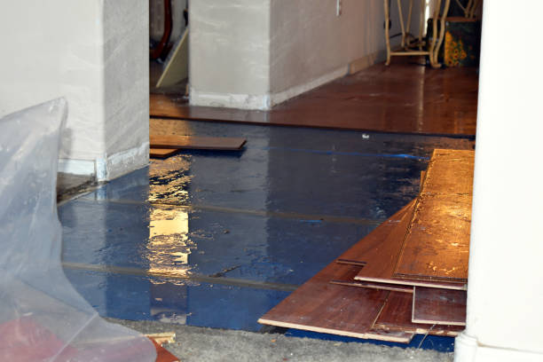 Professional Flood Damage Restoration technician working in Isleton, CA